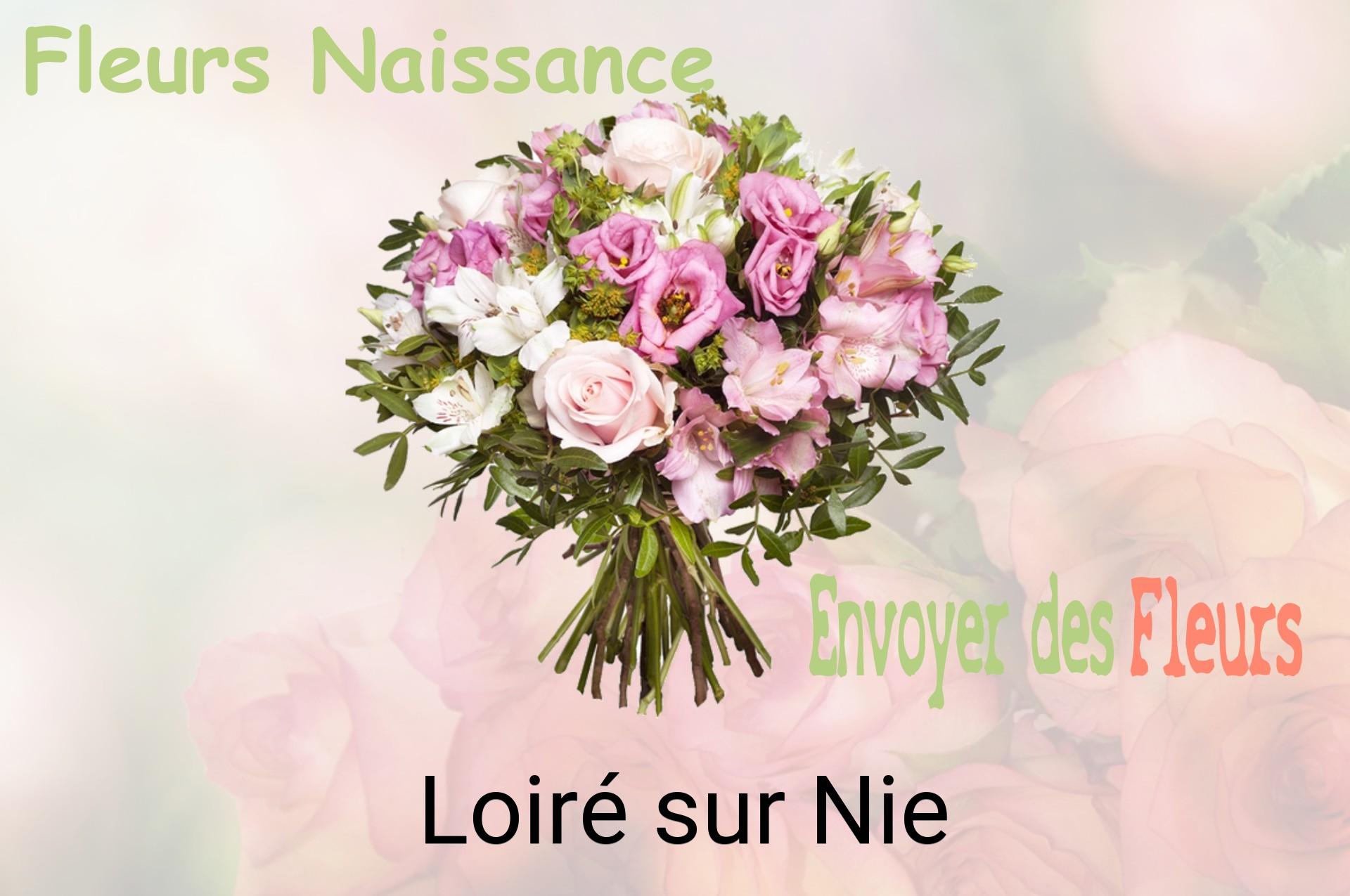 Bouquet de fleurs de naissance livré à Loiré-sur-Nie